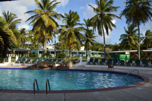 Bardados Tour with swimming pool and trees