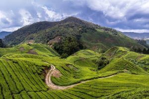 Malaysia Sports Tours Malaysia Sports Tours