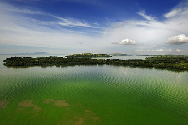 Sports tours to Kenya