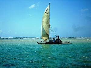 Sports tours to Kenya Sports tours to Kenya