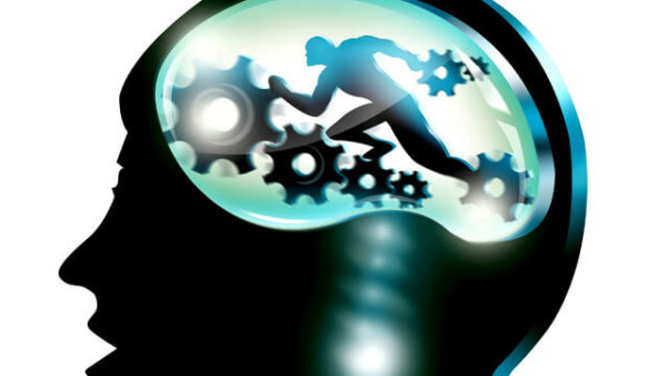 Exercise promotes brain growth inspiresport